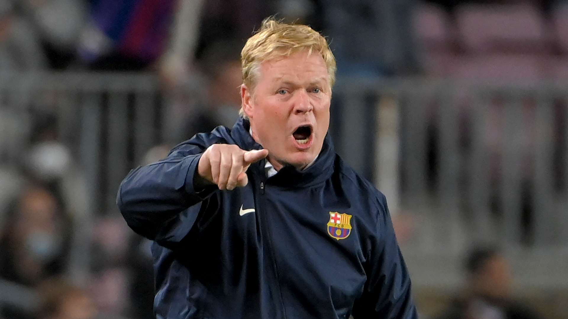 了团队在上 了团队在上