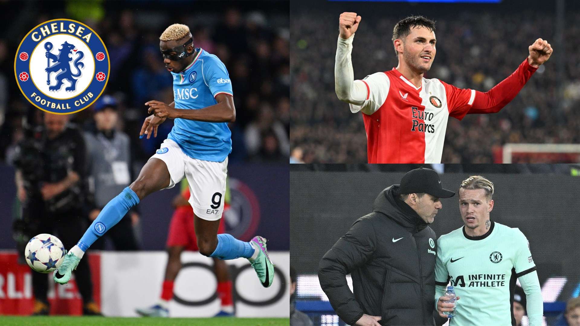 他们不仅负 他们不仅负